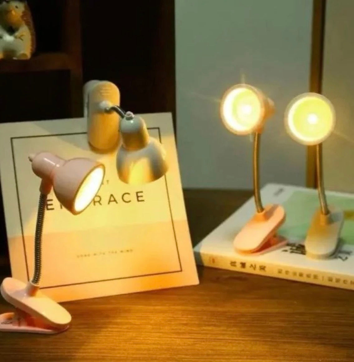 Mini Book Light with Clip | Portable LED Reading Lamp with Eye Protection | Random Color